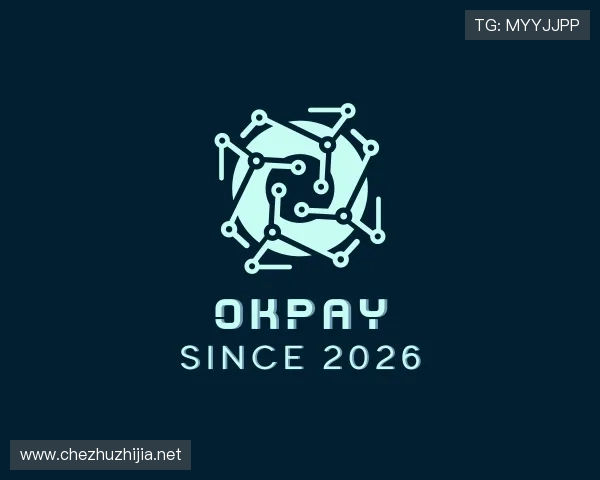 解读OKPAY钱包